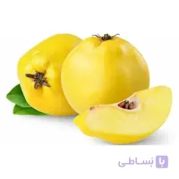 نهال به ریشه پُر (یک ساله)