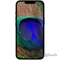 گوشی موبایل اپل مدل iPhone 13 Pro Max A2413 دو سیم‌ کارت ظرفیت 256 گیگابایت و رم 6 گیگابایت