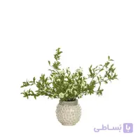 بذر گل عروس بسته بندی بزرگ مدل GPSF7L