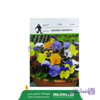 بذر گل بنفشه