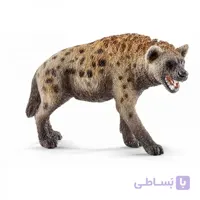 کفتار اشلایش 14735