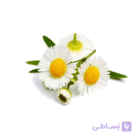 بابونه بسته‌ی 50 گرمی