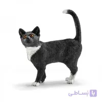 گربه سیاه اشلایش 13770