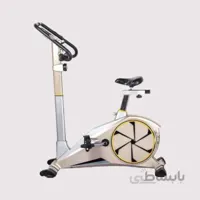 دوچرخه ثابت خانگی تایگر اسپرت G100