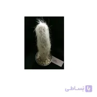 بذر اولدمن ده عدد