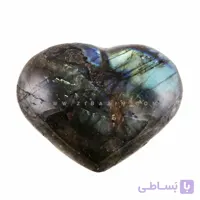 راف قلب لابرادوریت