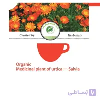 دمنوش گیاهی ارتیکا – سالویا(درمان کم خونی و آرتروز) ا Organic Medicainal Plant of Urtica - Salvia