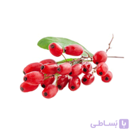 زرشک کوهی بسته‌ی 100 گرمی
