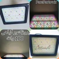 پروژکتورگیاهی 100 وات