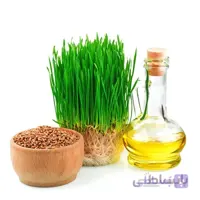 روغن جوانه گندم