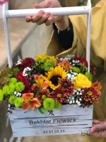 باکس گل رز هلندی