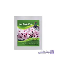 ( بسته 20 عددی ) بذر گل آلیسوم بسته بندی کوچک