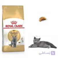 غذای خشک گربه رویال کنین مدل British Shorthair وزن 4 کیلوگرم ا Royal Canin British Shorthair
