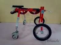 ویلچر توانبخشی حیوانات ، توانبخشی سگ ، طرح راک