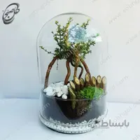 خرید گل آنلاین – تراریوم سریزا (مورد فرانسوی) طرح T-060