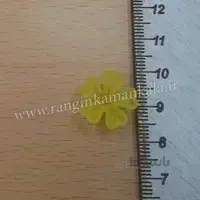 شکوفه صلیبی مات