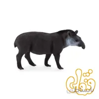 خوک خرطوم بلند برزیلی Brazilian Tapir 387178