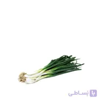 بذر پیازچه سفید بسته 3 عددی مدل GPSV7L