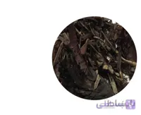 گیاه هواچوبه