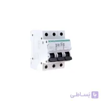 فیوز مینیاتوری 20 امپر 10000 سه پل دنا الکتریک
