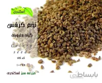 تخم کرفس