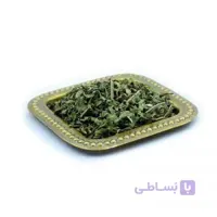 نعناع فلفلی