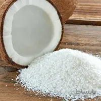 پودر نارگیل (چرب)