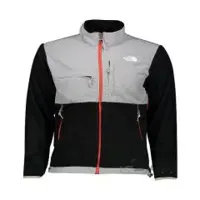 کاپشن کوهنوردی مردانه مدل Denali Fleece