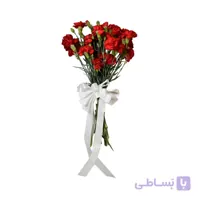 گل میخک شاخه ای