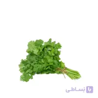 بذر گشنیز بسته بندی کوچک مدل GPSV7S