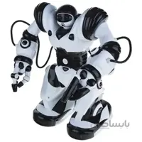ربات مدل  TT313