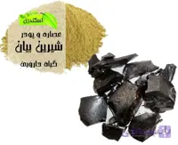 شیرین بیان