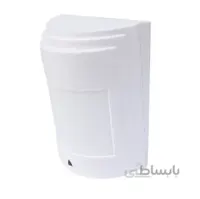چشم دزدگیر پارادوکس