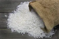 برنج کشت اول ارگانیک فریدونکنار