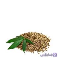 بذر شاهدانه بسته بندی بزرگ مجموعه 3 عددی