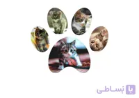 تابلو ژیوار | تابلو گربه