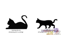 ترجمه مقاله الگوریتم ازدحام گربه Cat Swarm Optimization