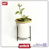 گل پیله آ چوبی