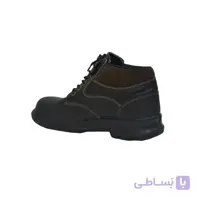پوتین ایمنی البرز