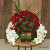 جا حلقه ای عروس