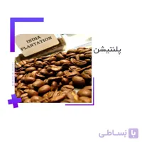 خرید قهوه عربیکا هند پلنتیشن ا Arabica Coffee India