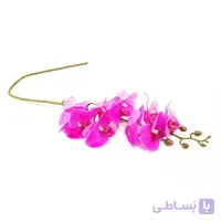 گل ارکیده لمسی