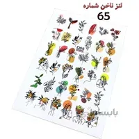لنز ناخن D65