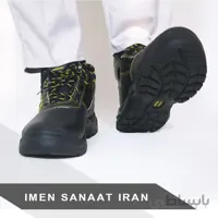 پوتین ایمنی تایگر
