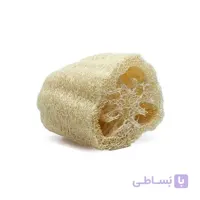 بذر گیاه لوفا