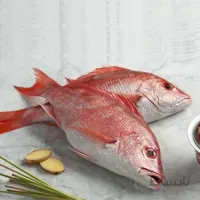 ماهی سرخو