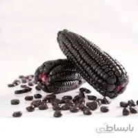 بذر ذرت شرابی (اناری)