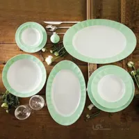 چینی زرین پاستل سبز 6 نفره عالی ا سرویس غذاخوری چینی زرین ایران || Zarin Iran Chinese dinnerware set