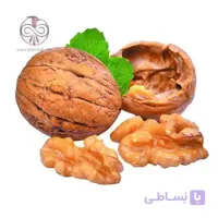 نهال گردو اسراييلی