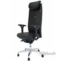 صندلی مدیریتی نیلپر ا Nilper Executive Chair OCM 910